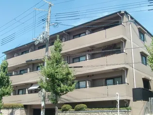 サンフォーレ岡本【3階】の外観