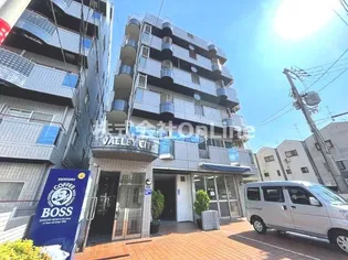 バレイシティの画像