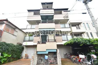 シャンベルミツモの画像