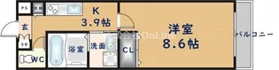カーサビアンコ【2階】の間取り
