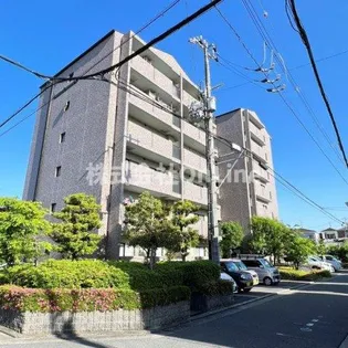 エオリアンハープの画像