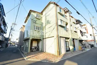 プリマベラカクノの画像