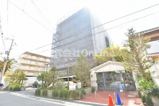 ヌベルミズノの画像