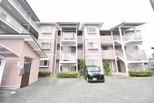 大阪府東大阪市岩田町5丁目【アパート】の外観