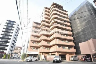 大阪府東大阪市横枕西【マンション】の外観