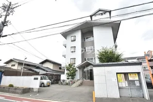 大阪府東大阪市岩田町5丁目【マンション】の外観