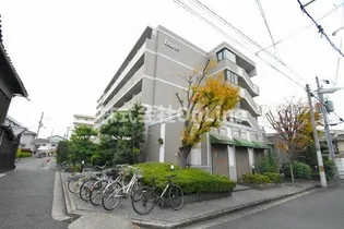 カレッジインエバグリーンの画像