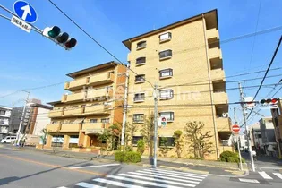 大阪府東大阪市西堤本通東3丁目【マンション】の外観