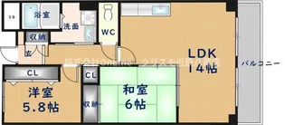 メゾンプチチェリー【4階】の間取り