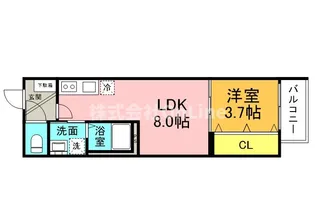 Muse ZioⅤ【3階】の間取り
