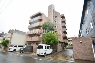 デルニエアンの画像