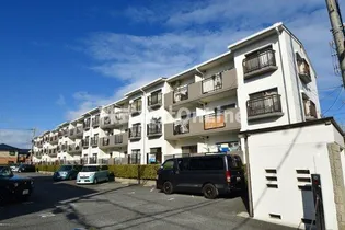 大阪府東大阪市近江堂2丁目【マンション】の外観