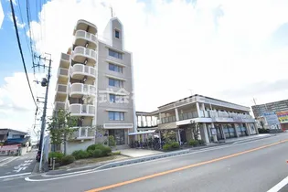 大阪府八尾市南植松町1丁目【マンション】の外観