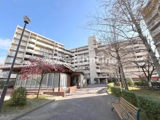 コープ野村恩智の画像