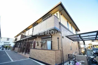 グロリアの画像