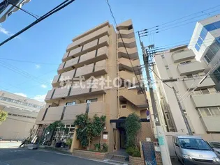 ゆずり葉の画像