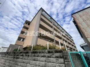 ヴィブレムライの画像