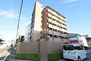 カデンツァKの画像