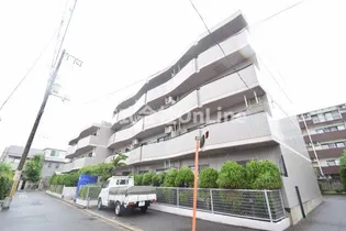 シロハイヌ小阪の画像