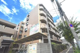 シャルマンシェソワの画像