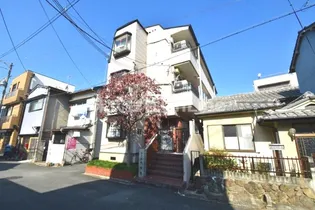 大阪府東大阪市横沼町1丁目【マンション】の外観