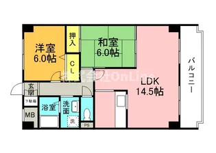 メゾン都【5階】の間取り