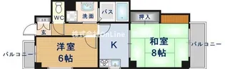 K’s court真法院【4階】の間取り