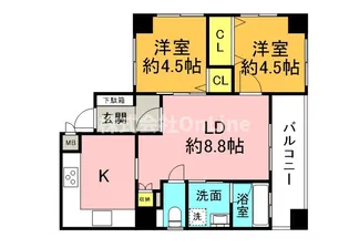 ロータリー上町【11階】の間取り