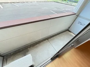 サンタクララ大隅【0102号室】のその他画像