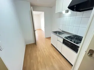 サンタクララ大隅【0102号室】のキッチン