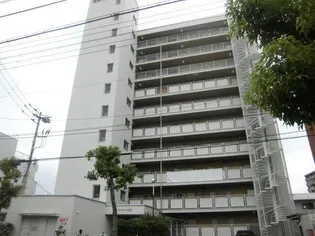 ドルフィン多賀【0203号室】の外観