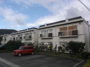 サンライフ松本B棟【0201号室】のその他画像