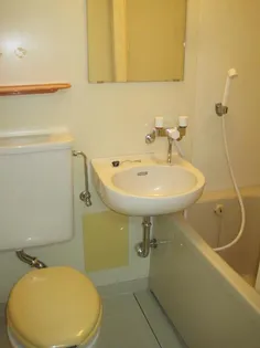 ハイツ池戸【0203号室】の風呂