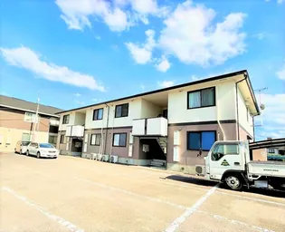 SETTLE ハバラの画像