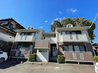 河野ハイツ【0102号室】の外観