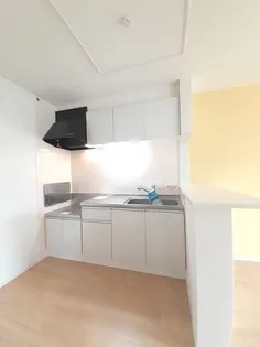 ラッシュ プレミアⅠ【2階】のキッチン