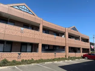 エルフ フォレストの画像