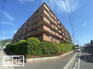 パシフィック花ノ宮の画像