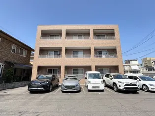 エバーグリーンの画像