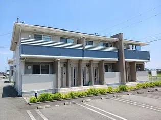 プリマベーラ Cの画像