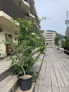 RENOWA YASHIMAの画像