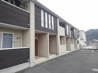 秋桜ミディの画像