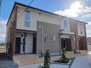 オリーブ坂本 Cの画像