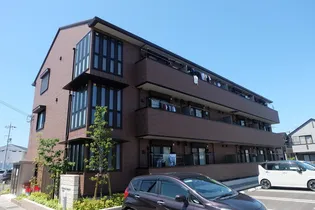 マーベル コンフォートの画像