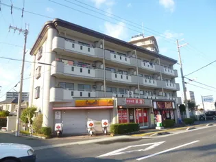 中央ハイツエクセレンス【3階】の外観