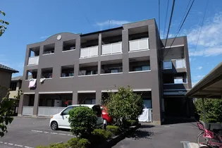 コモド カーサの画像