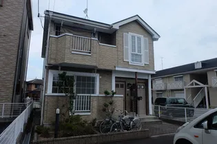 ブロッサムの画像