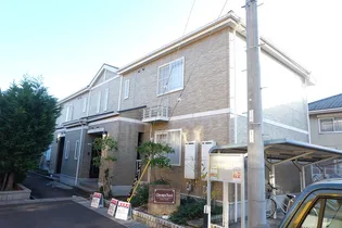 シャン ノールの画像