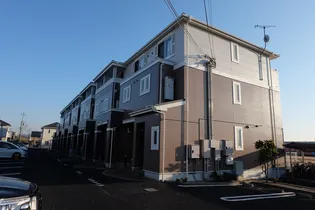 シンシアの画像