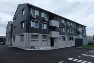 PRATO VERDEの画像